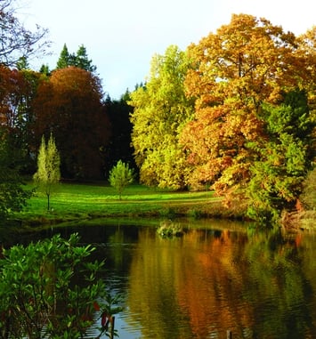Visite libre de l'arboretum du château de Neuvic d'Ussel