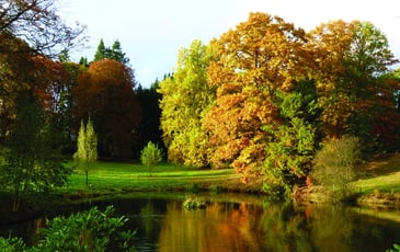 Visite libre de l'arboretum du château de Neuvic d'Ussel