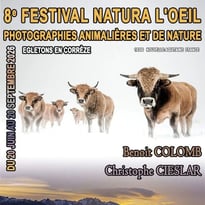 Natura l'Œil : photographie animalières et de nature