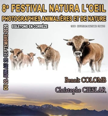 Natura l'Œil : photographie animalières et de nature
