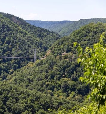 Visites libres ou accompagnées au Jardin de Firmin, Viaduc des Rochers Noirs