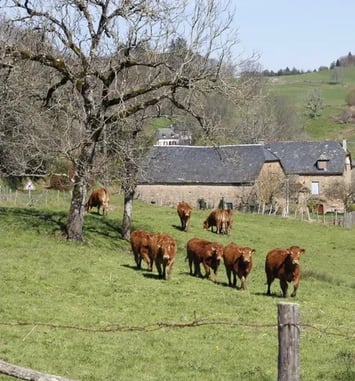 Circuit : à la découverte du patrimoine agricole de Saint-Hilaire-Taurieux