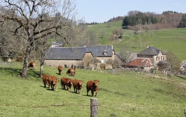 Circuit : à la découverte du patrimoine agricole de Saint-Hilaire-Taurieux