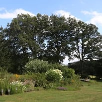 Visite libre du jardin de Villevaleix