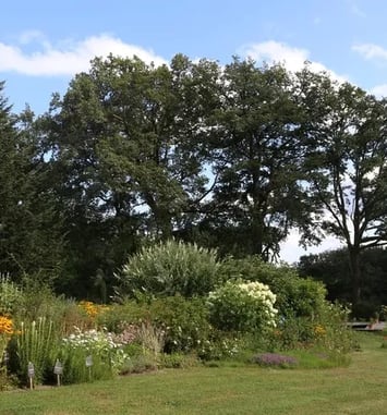Visite libre du jardin de Villevaleix