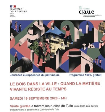 Le bois dans la Ville : quand la matière vivante résiste au temps